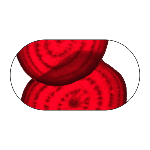 Rote Bete
