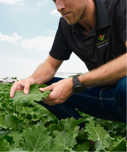 Nous travaillons en partenariat avec les meilleurs producteurs